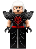 LEGO sh333 Magpie